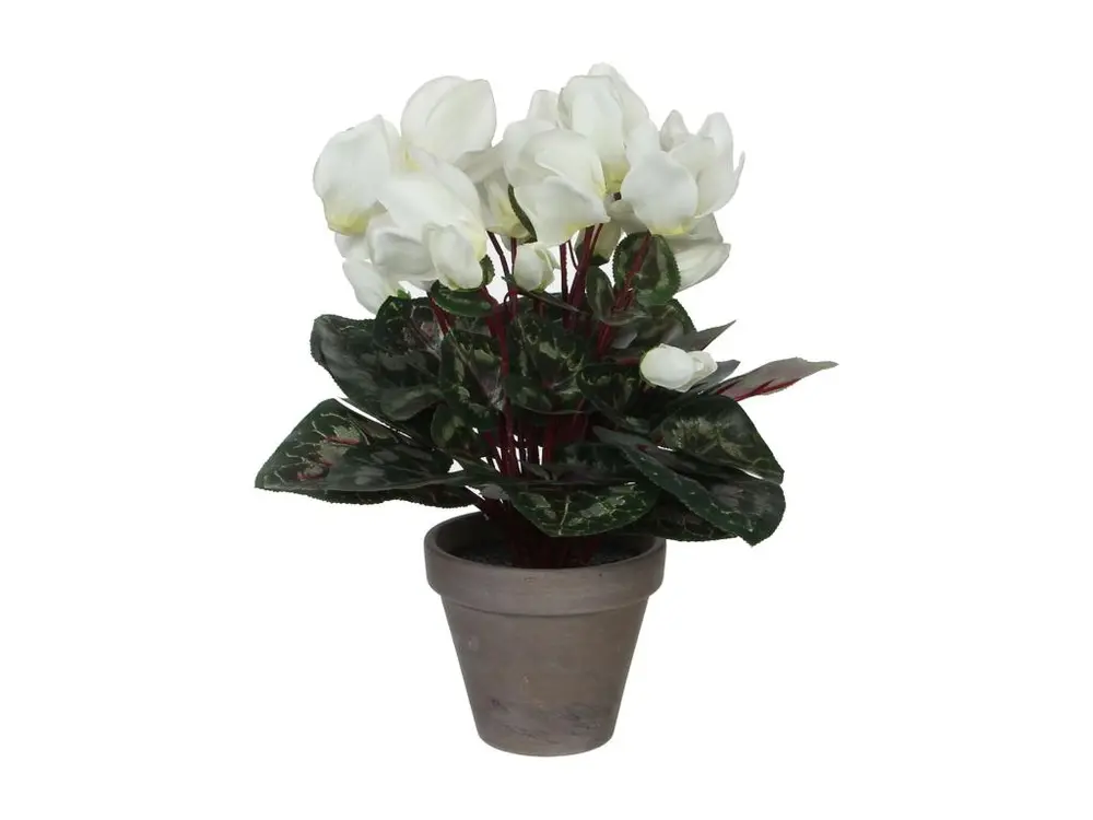 Plante artificielle en polyester et terre cuite - 30 x Ø30 - Blanc - CYCLAMEN