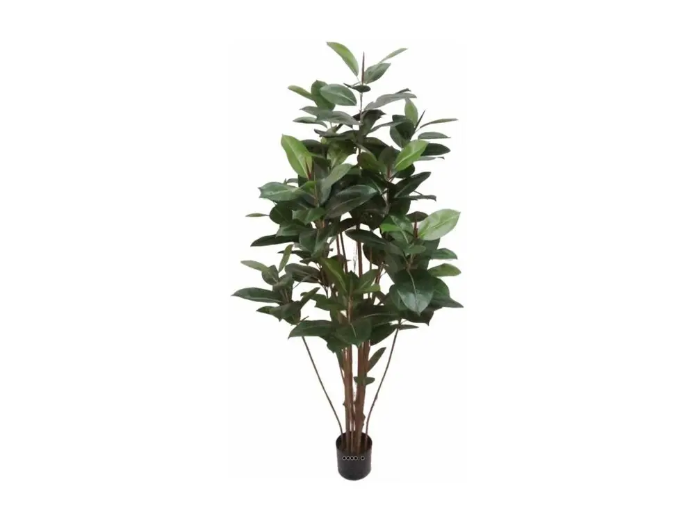 Ficus Robusta factice tronc PE en pot beau et rare H180cm D95cm Vert - choisissez votre hauteur: H 180 cm - couleur: Vert