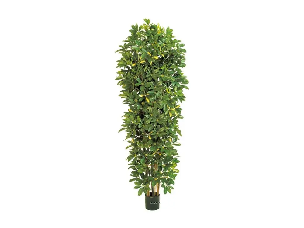 Schefflera artificiel en colonne en pot H 195 cm vert-jaune