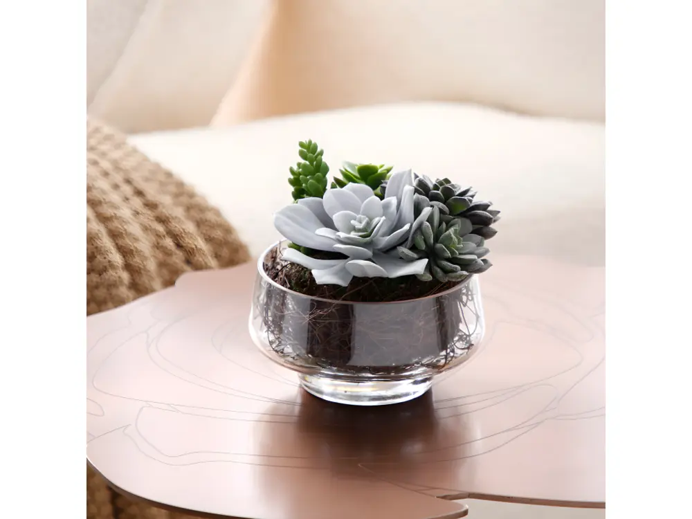 Composition de Succulentes en vase transparent Grand format