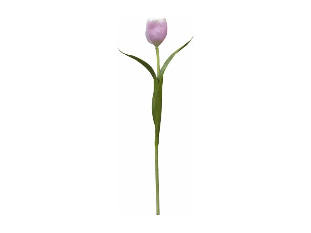 Tige de Tulipe Emilia - Violet