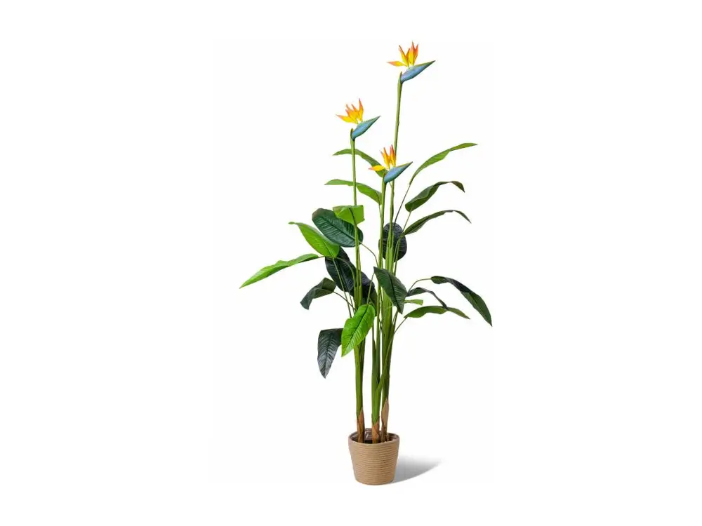 Bird of Paradise - Plante artificielle en pot H160 cm