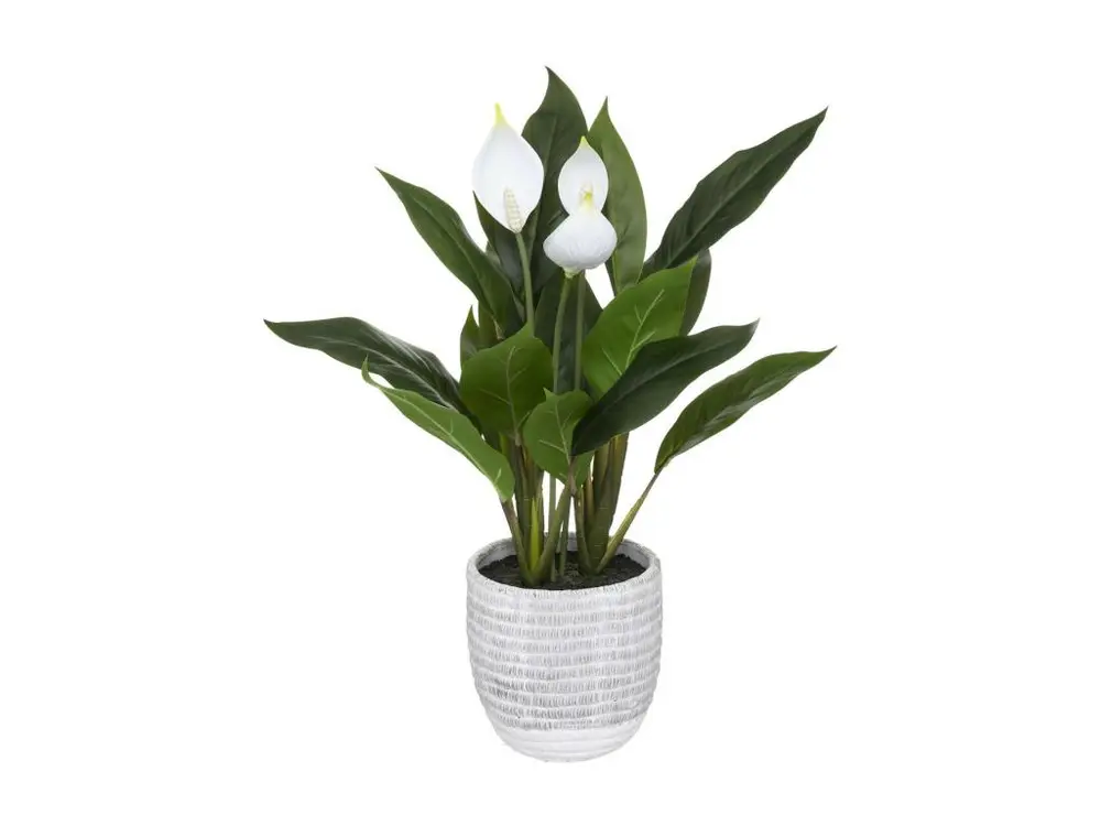 Plante artificielle Lys de la paix en pot H 54 cm