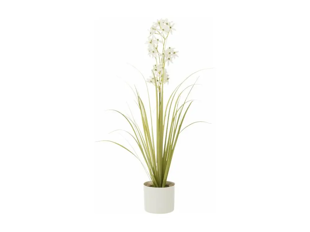 Allium en pot plastique vert/blanc 30x30x88cm