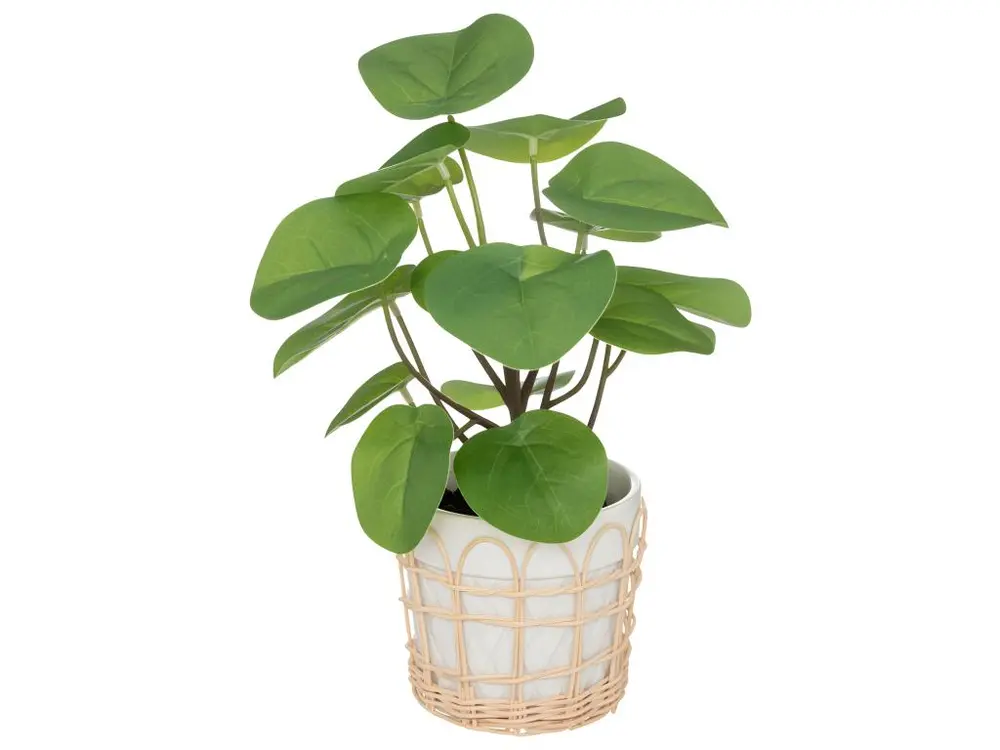 Plante artificielle dans pot en céramique et rotin H 34 cm