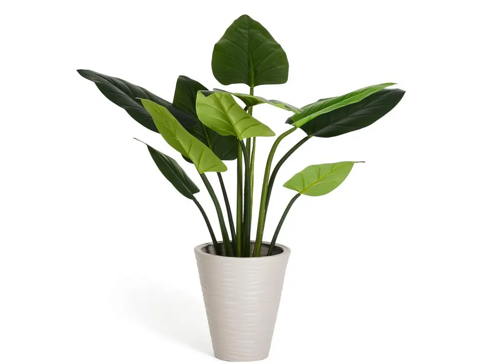 Plante artificielle Philodendron