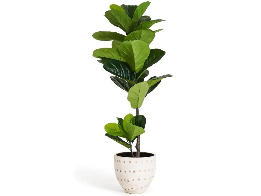 Plante artificielle Ficus Lyrata