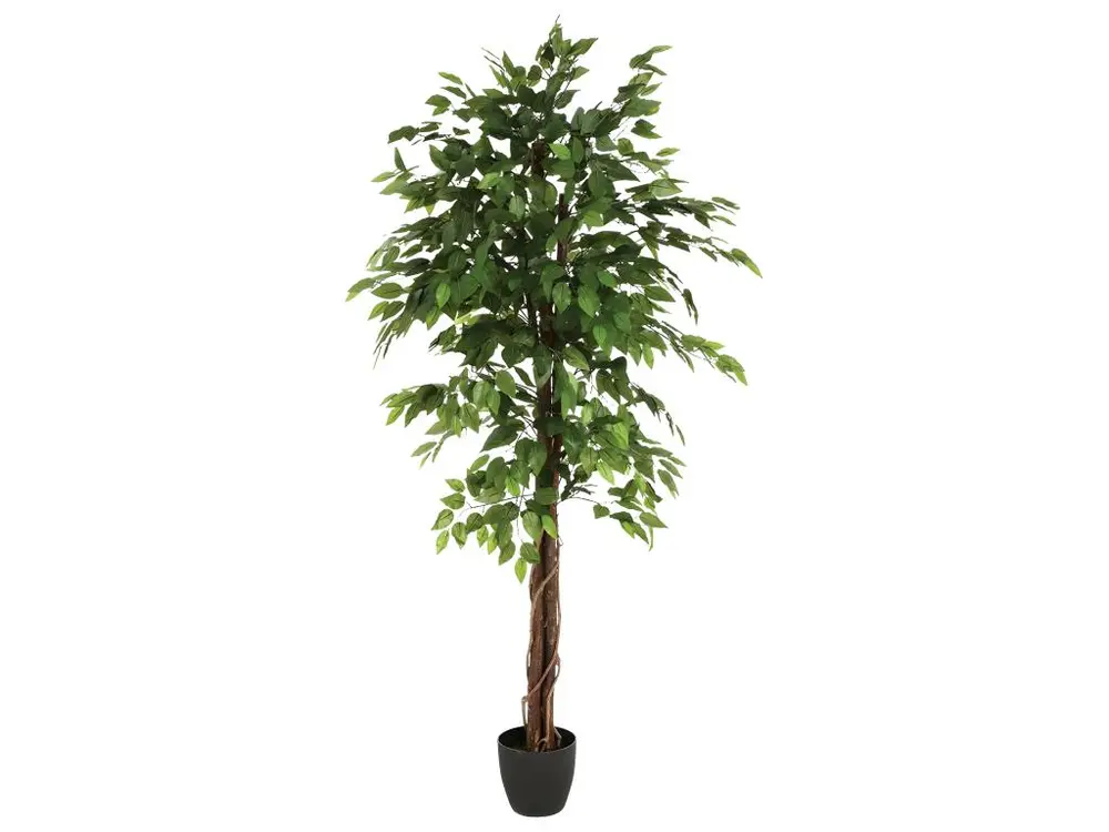 Plante artificielle Ficus en pot H 180 cm