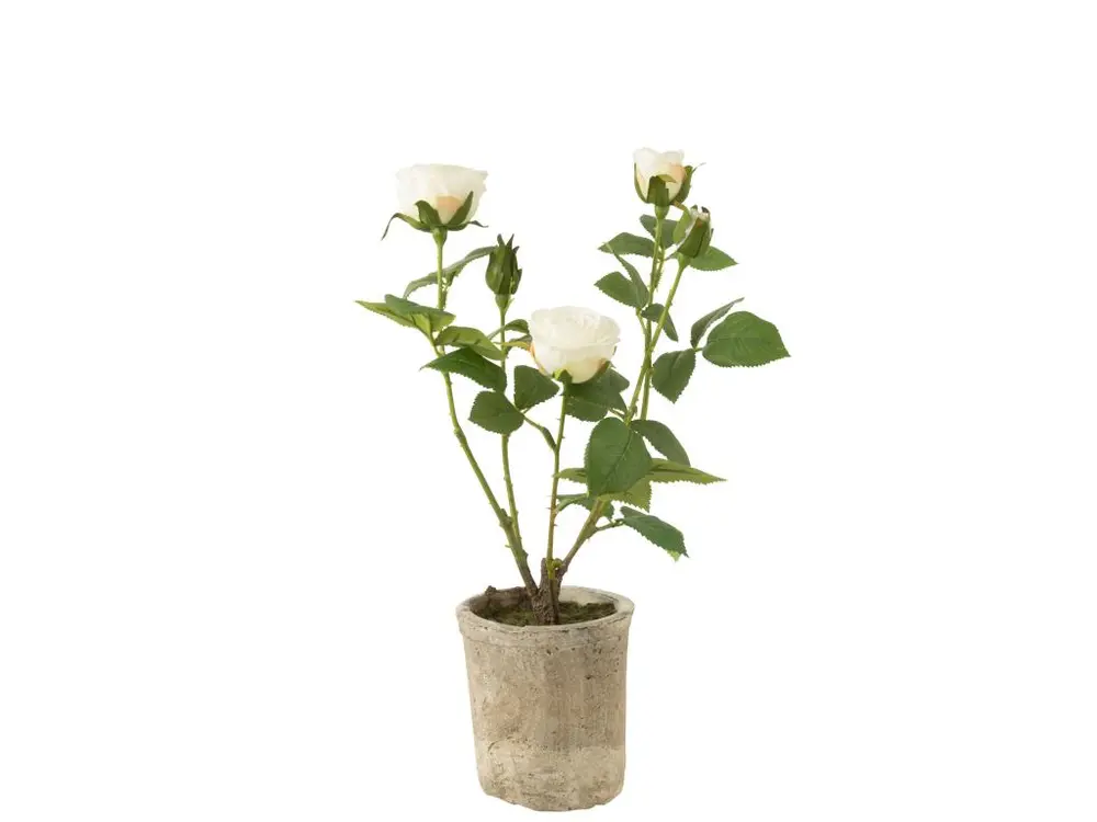 Rose 5 tetes en pot plastique/textile blanc/vert 23x23x39cm