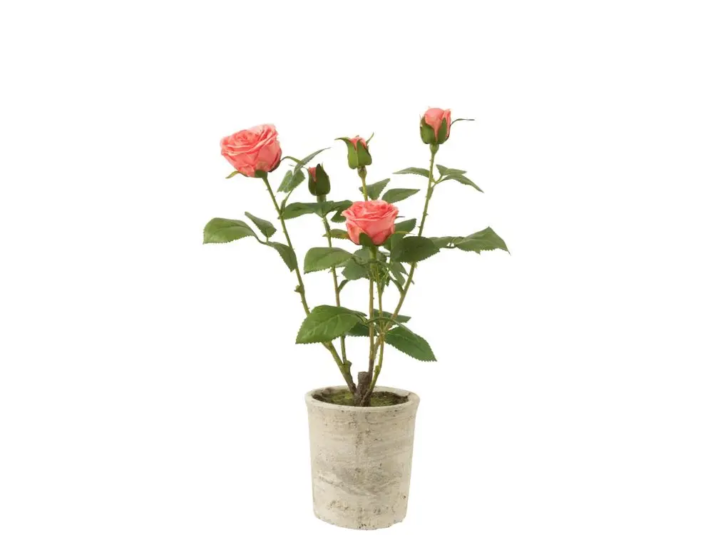 Rose 5 tetes en pot plastique/textile rose/vert 23x23x39cm