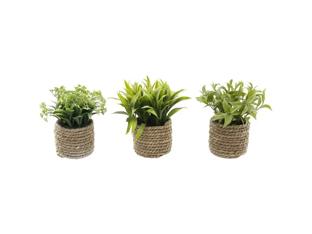 Plante artificielle avec pot tressé (Lot de 3)