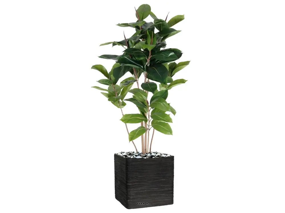 Ficus Robusta factice tronc PE en pot beau et rare H120cm D75cm Vert - choisissez votre hauteur: H 120 cm - couleur: Vert