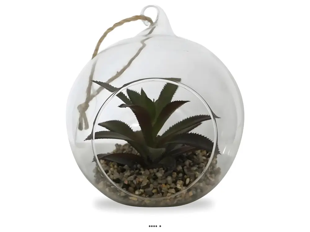 Plante grasse factice succulente en bulle de verre avec corde Type C - couleur: Vert aloe - div: C