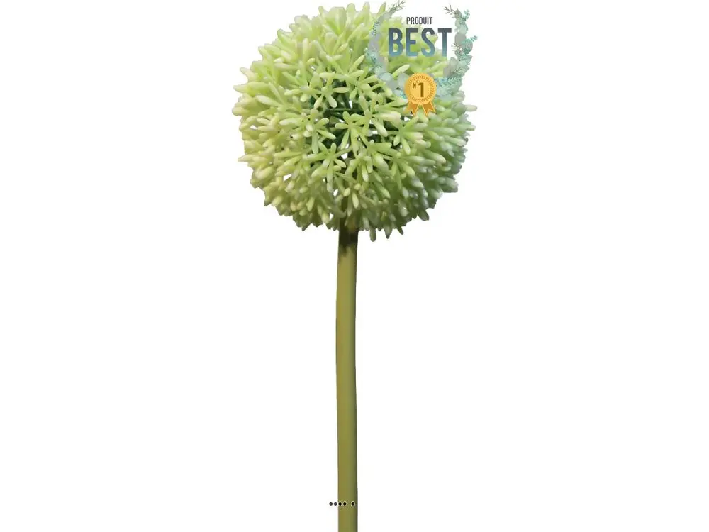 Allium factice en tige, spécial grande taille, H68cm Crème vert - BEST - couleur: Crème vert