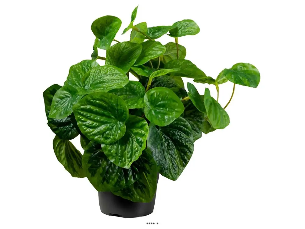 Peperomia plante verte factice en pot H25cm D25cm Feuilles vert dense