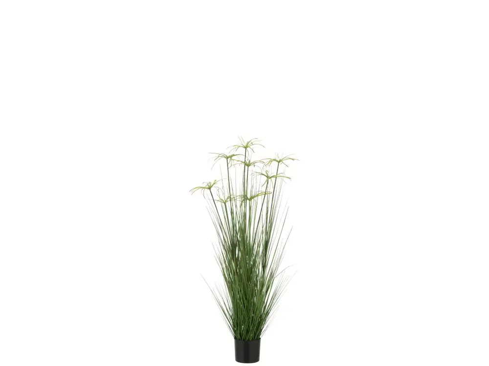 Cyperus alternifolius 8 têtes en pot en plastique vert 30x30x132 cm