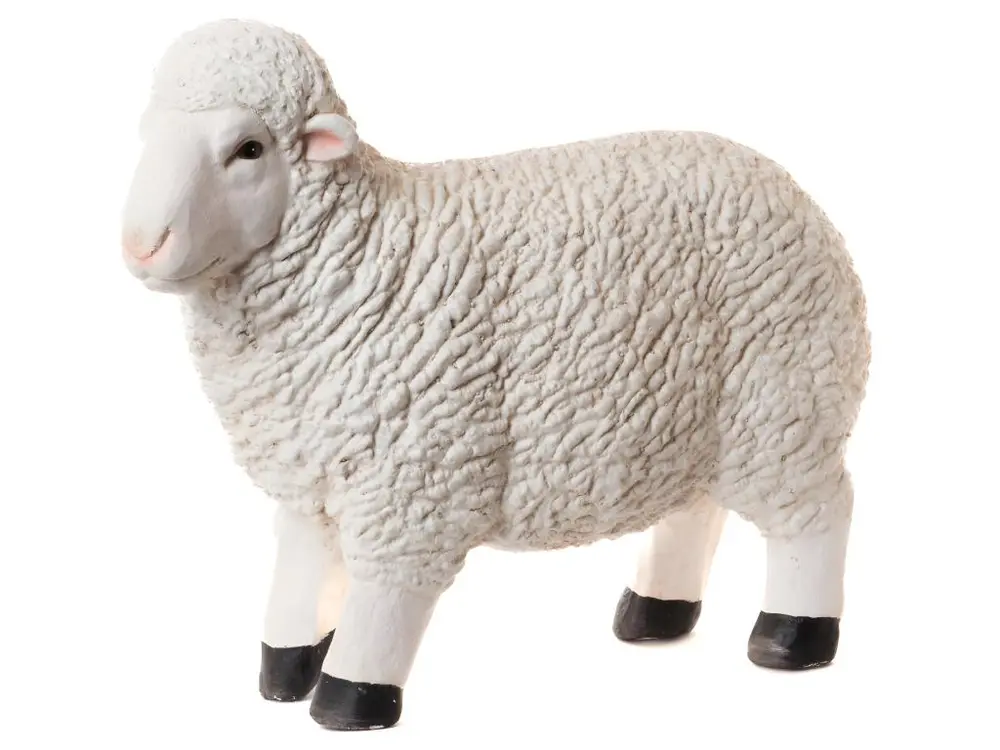 Mouton à poser