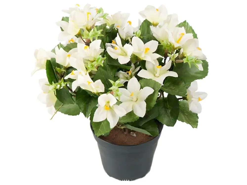 Campanules artificielles en pot, H 25 cm Crème - couleur: Crème