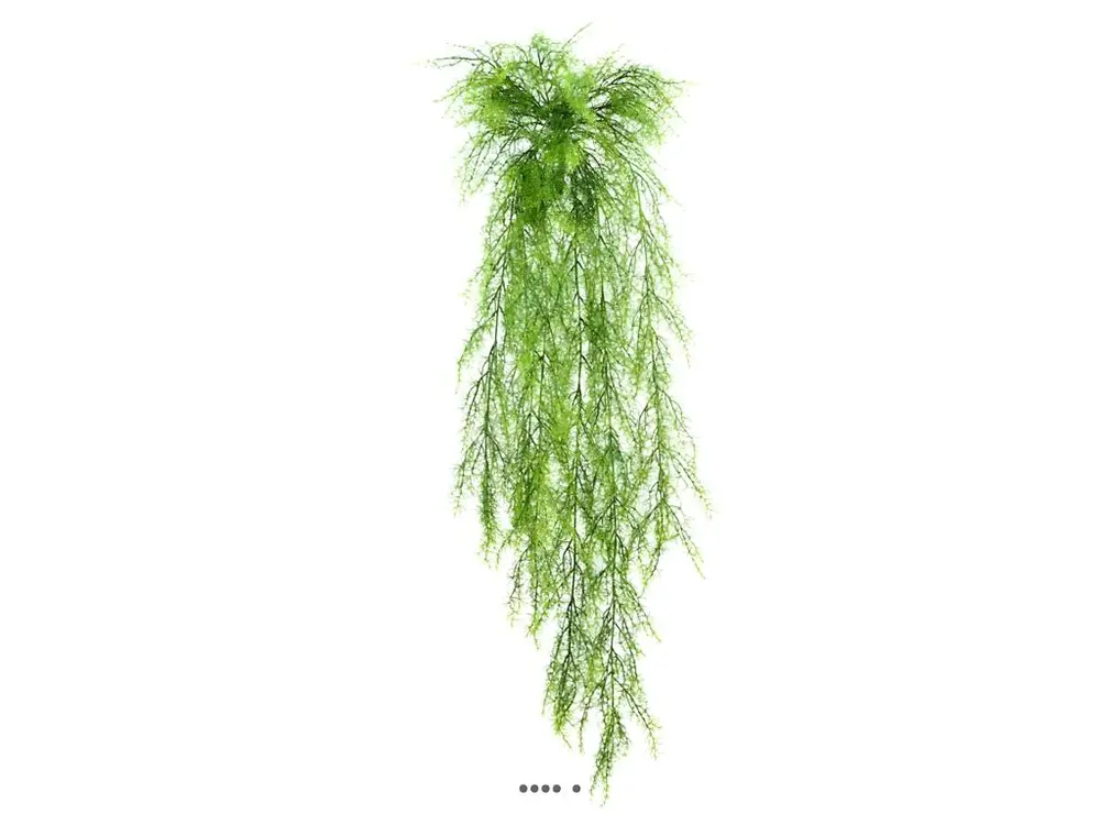 Chute d'asparagus sprengeri artificiel L 75 cm lg 30 cm plastique