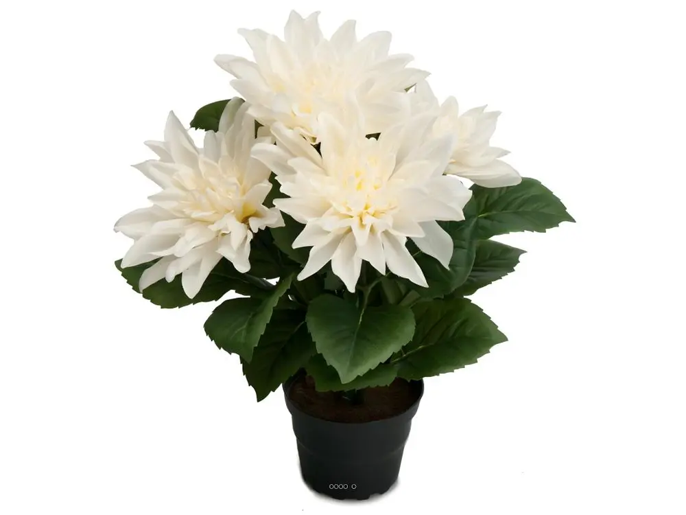 Dalhia commun artificiel en pot, 5 fleurs, H 30 cm Crème - couleur: Crème