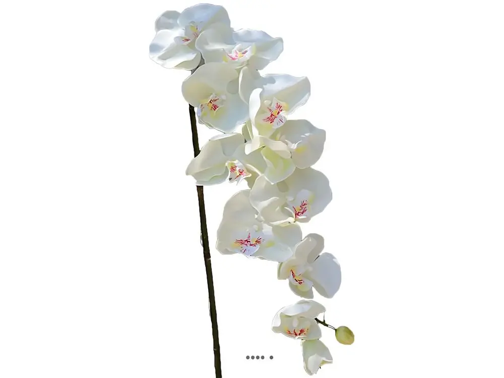 Superbe tige d'orchidée artificielle toucher réel 10 fleurons 110 cm Crème - couleur: Crème