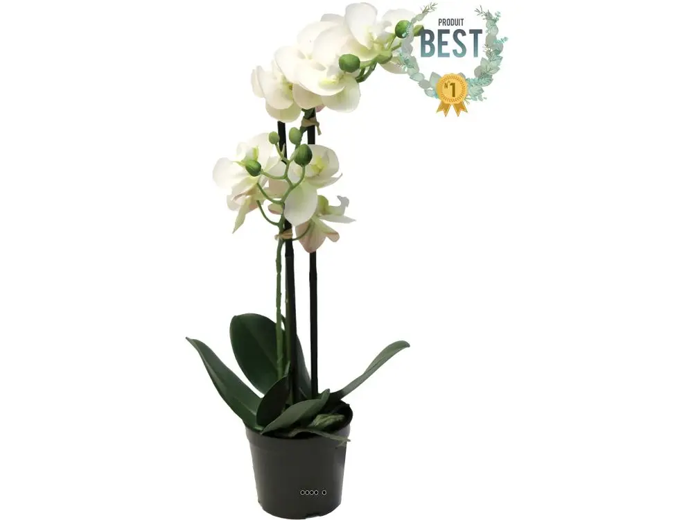 Orchidée Phalaenopsis factice en pot qualité déco H50cm Crème - BEST - choisissez votre hauteur: H 50 cm - couleur: Crème