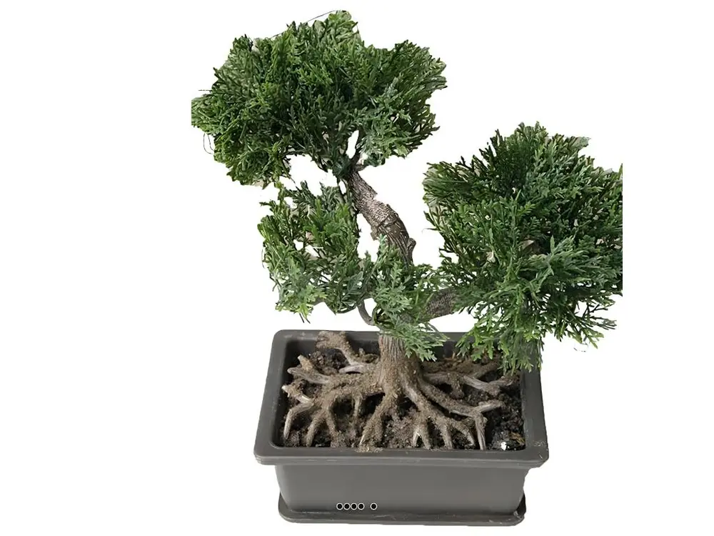 Mini bonsai artificiel en pot H 18,5 cm