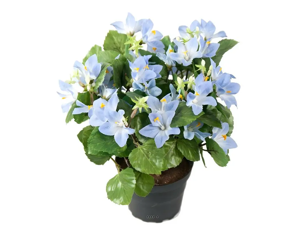 Campanules artificielles en pot, H 25 cm Bleu ciel - couleur: Bleu ciel