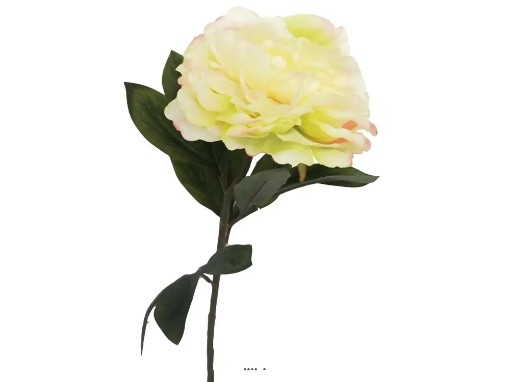 Pivoine artificielle crème Vert H 63 cm très belle tête - couleur: Jaune-vert