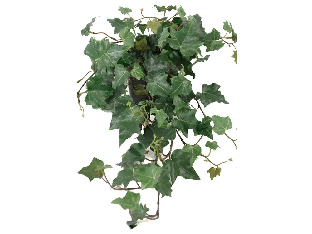 Lierre arborescent artificiel en pot, H 55 cm, D 35 cm