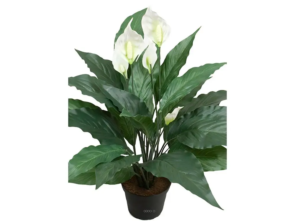 Spathiphyllum artificiel en pot H 43 cm 20 feuilles et 5 fleurs