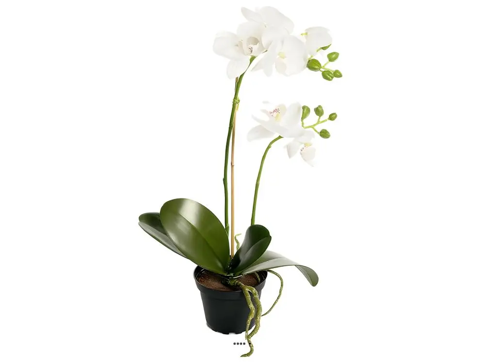 Orchidee artificielle 2 hampes en pot H 40 cm touché réel Blanc neige - couleur: Blanc neige