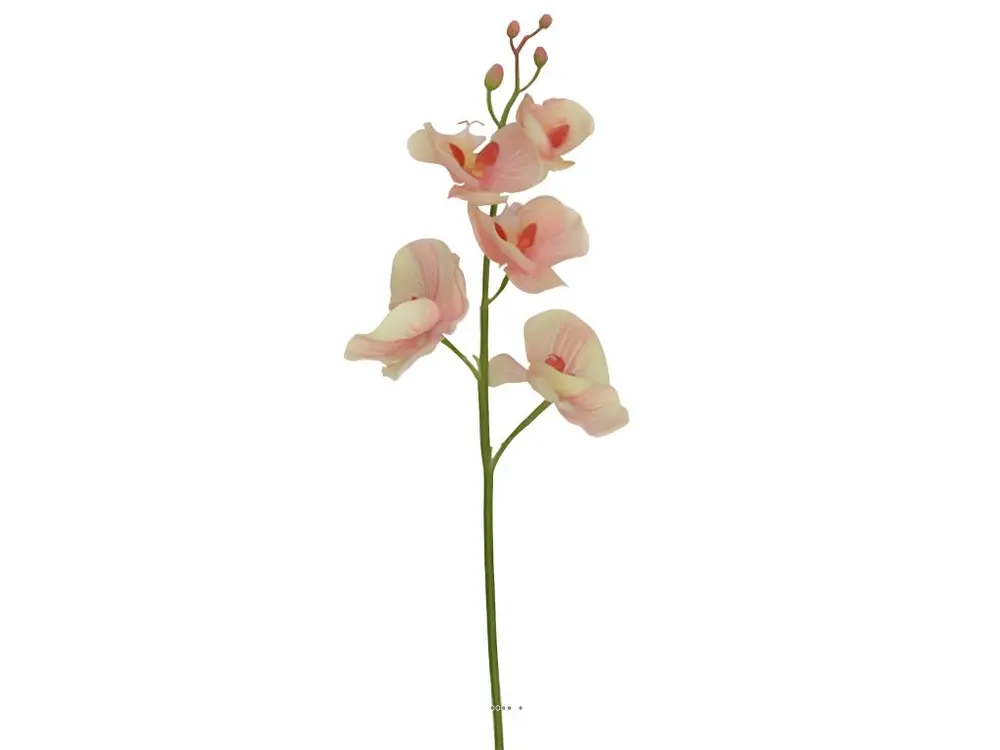 Orchidee Phalaenopsis Ines pêche 77cm haut de gamme latex - couleur: Pêche