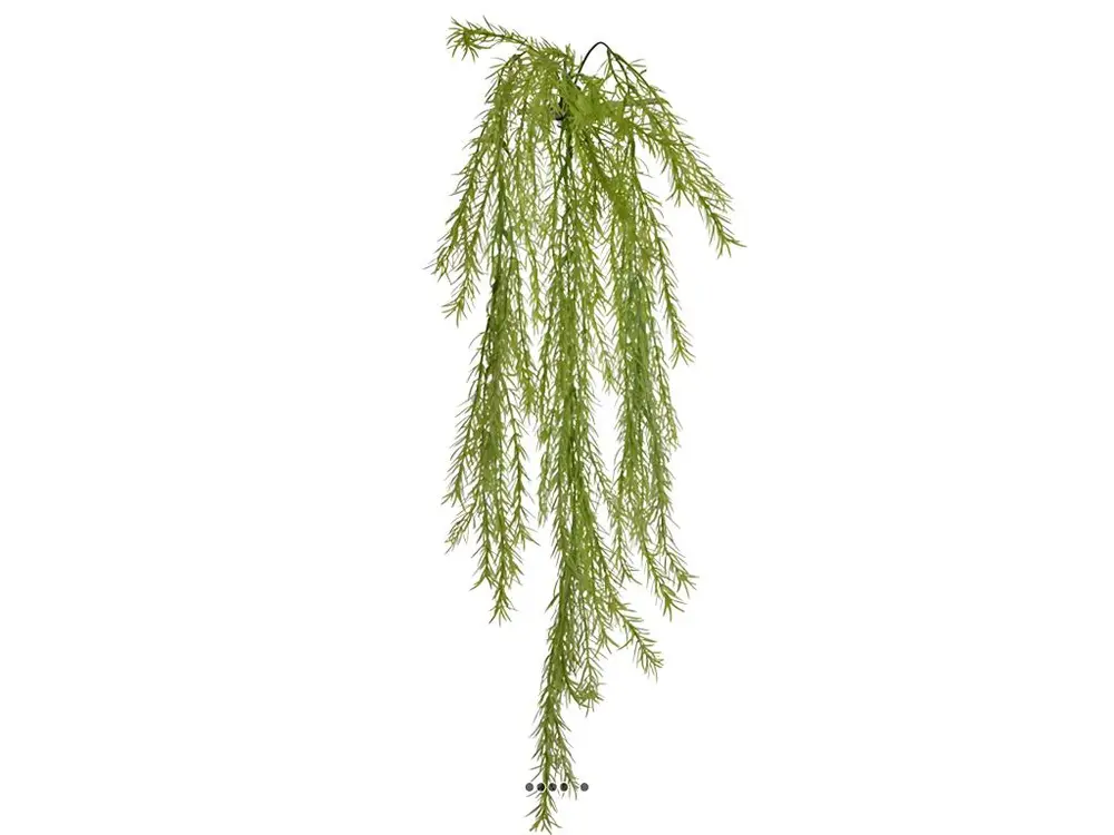 Chute d'asparagus artificiel L 80cm vert clair