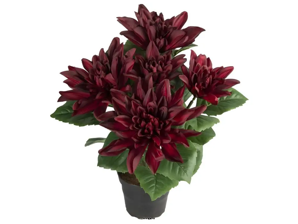 Dalhia commun artificiel en pot, 5 fleurs, H 30 cm Pourpre - couleur: Pourpre