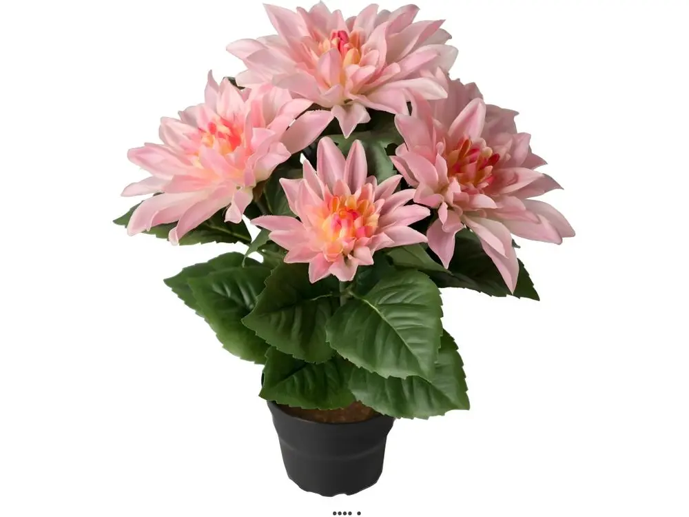 Dalhia commun artificiel en pot, 5 fleurs, H 30 cm Rose - couleur: Rose