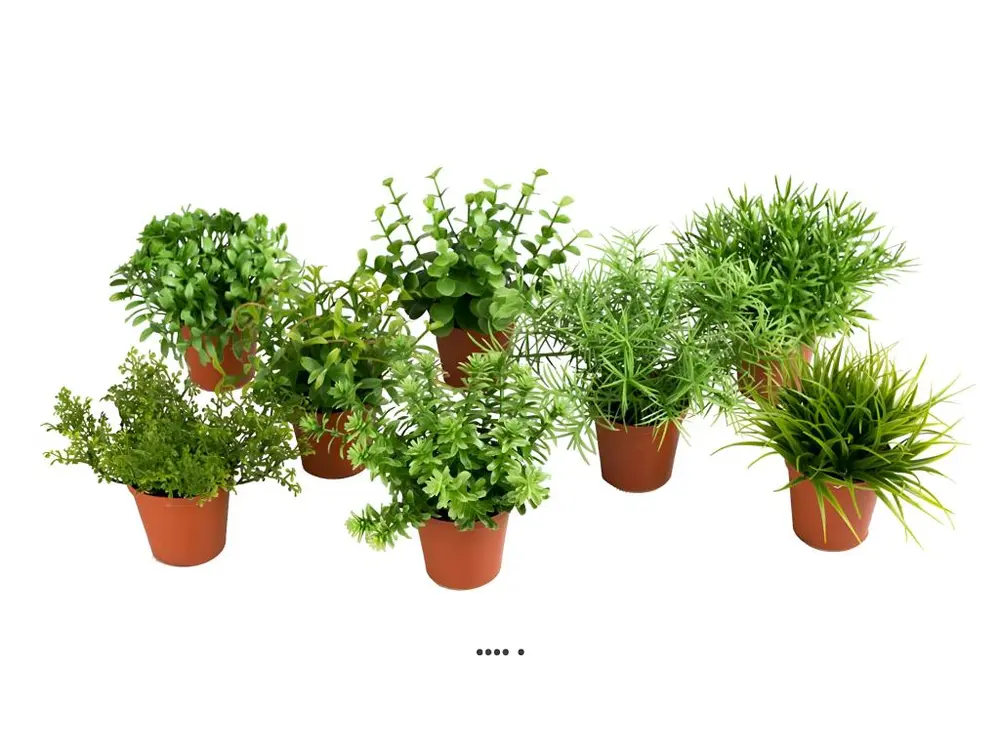 Herbes fausses variées mini plantes assorties 8 pots Feuilles H9-12cm