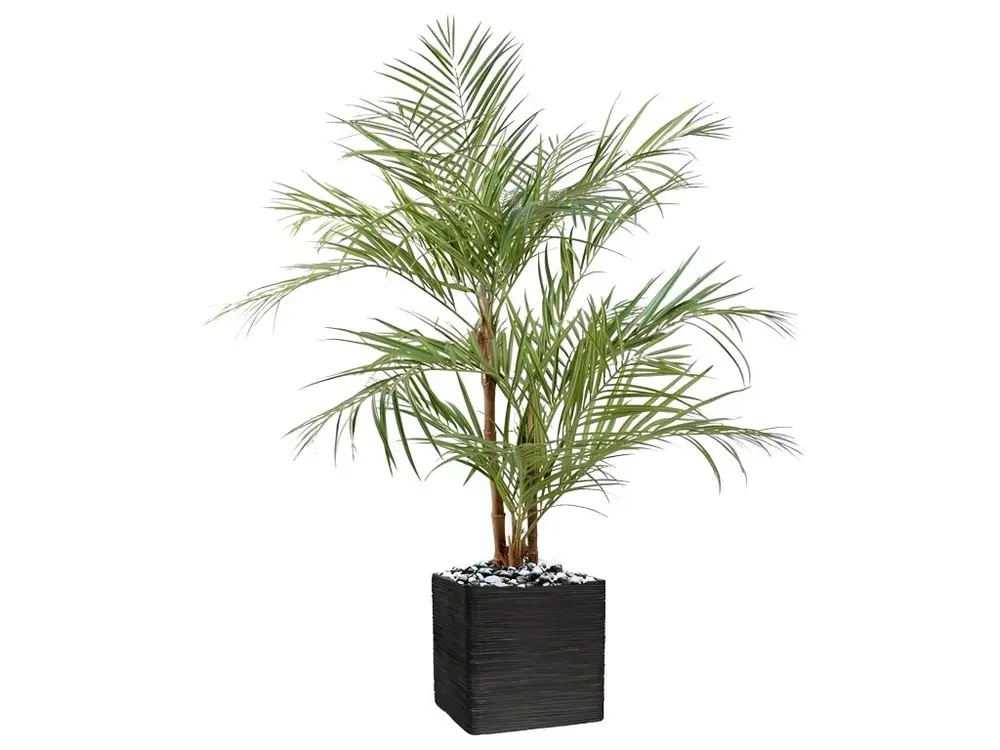 Palmier Areca artificiel 3 troncs naturels 3 têtes en pot H170 cm Vert - choisissez votre hauteur: H 170 cm - couleur: Vert