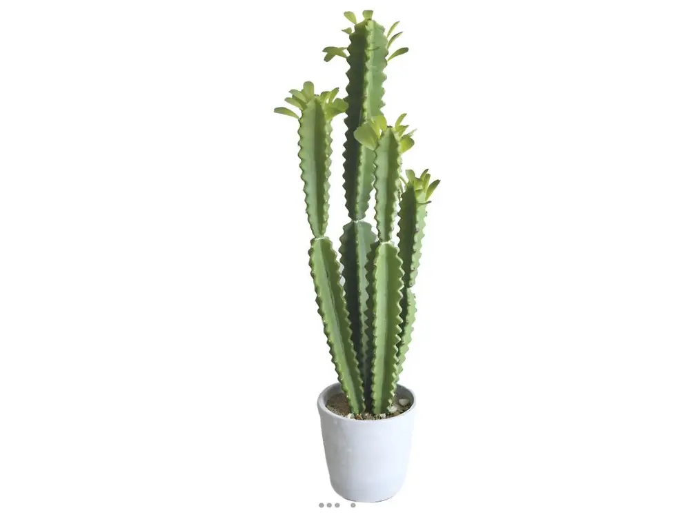 Euphorbe Trigona Succulent factice en pot béton Mousse PU H71cm Vert - choisissez votre hauteur: H 71 cm - couleur: Vert