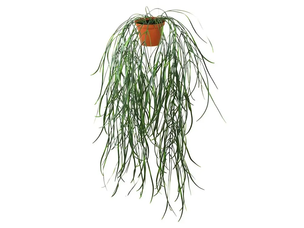 Hoya linearis artificielle en pot H 70 cm très originale suspension