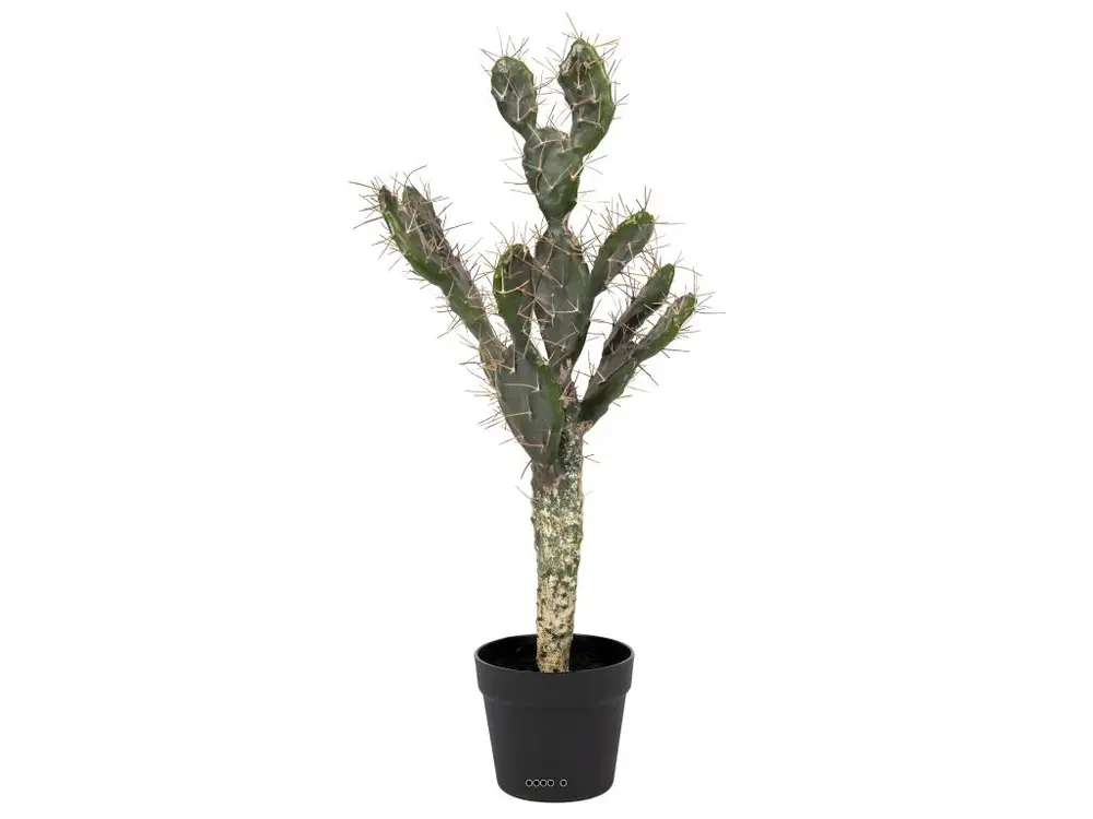 Cactus Opuntia factice cactée en pot dense top Qualité H70cm Vert aloé - choisissez votre hauteur: H 70 cm - couleur: Vert aloe