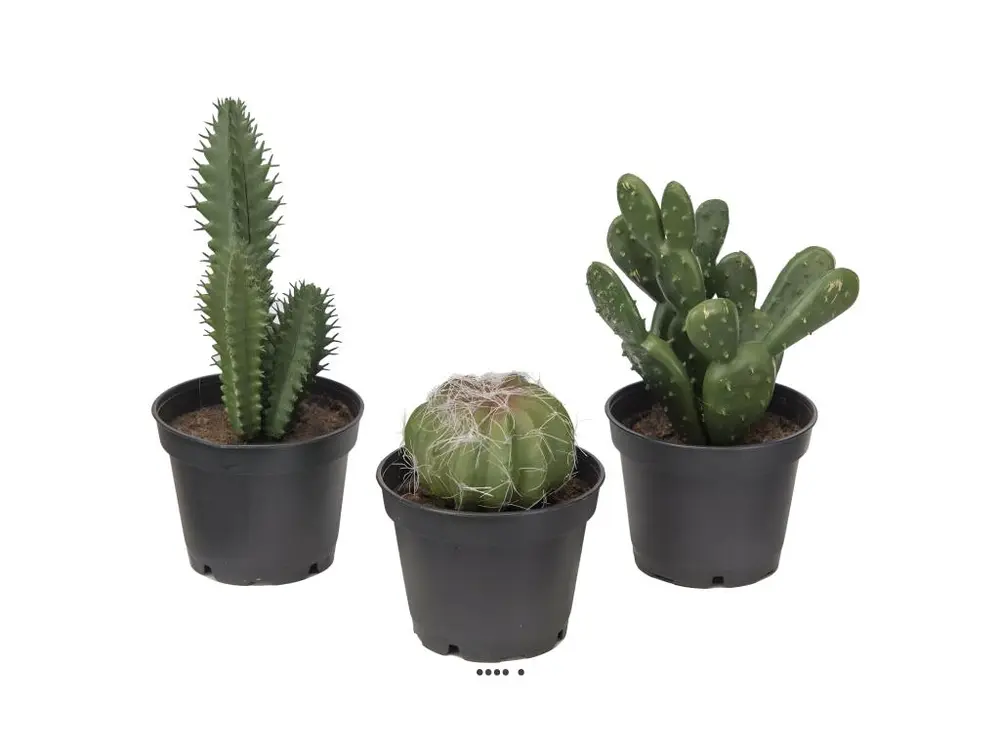 Cactées plantes artificielles lot de x3 Cactus factices en pot H8-13cm