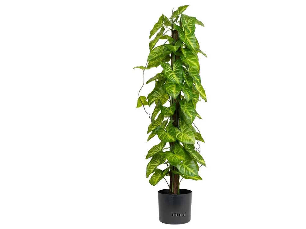 Feuillage d'Hosta artificiel sur pied en pot, H 90 cm, D 26 cm