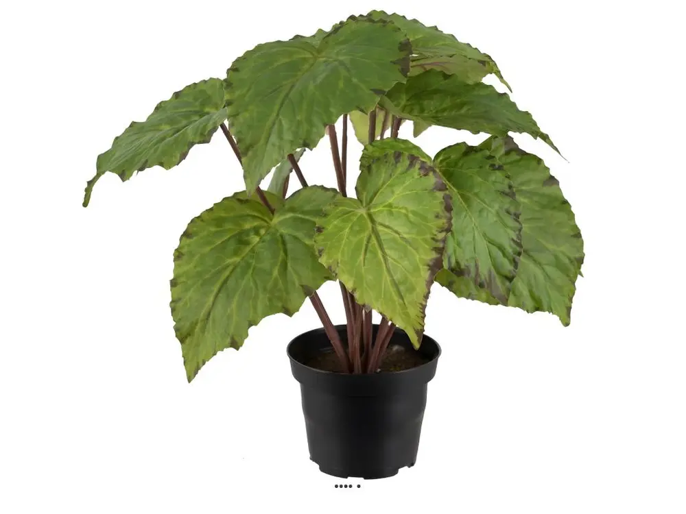 Bégonia royal artificiel en pot, H 30 cm D 25 cm Vert - couleur: Vert