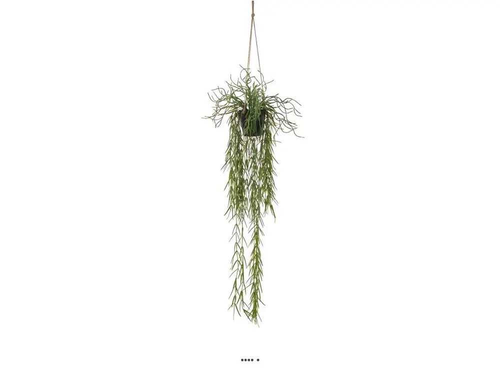 Cactus Rhipsalis artificiel en pot suspendu L 80 cm, D 30 cm - choisissez votre hauteur: H 80 cm