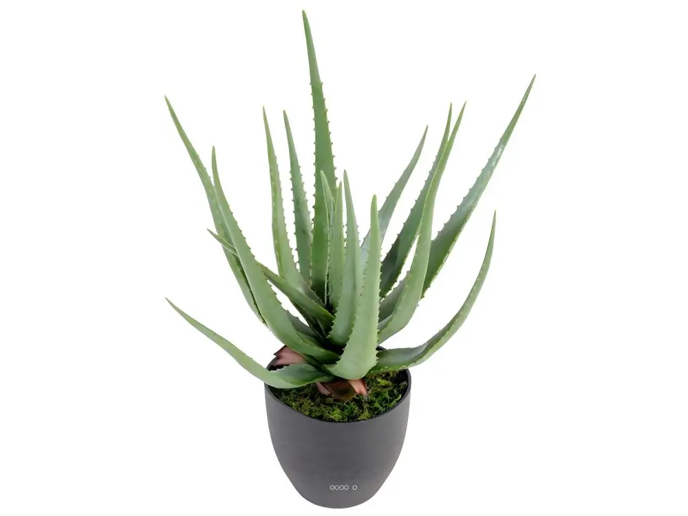 Aloe Vera artificiel H 60 cm cactus plante grasse en pot pvc