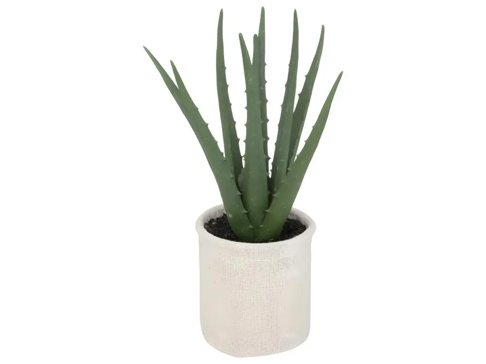 Plante artificielle Aloe vera Pot en coton H 29 cm