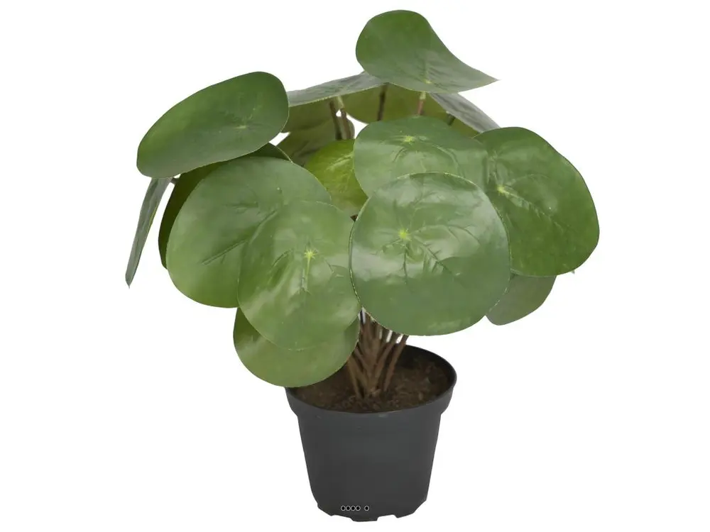 Plante Oreilles éléphant factice en pot H25cm D25cm feuilles tergal