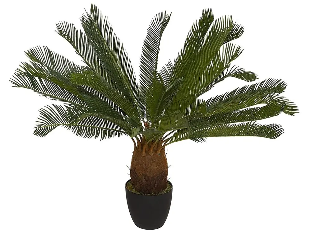 Plant d'ananas l.115 x d.115 x h 93, vert