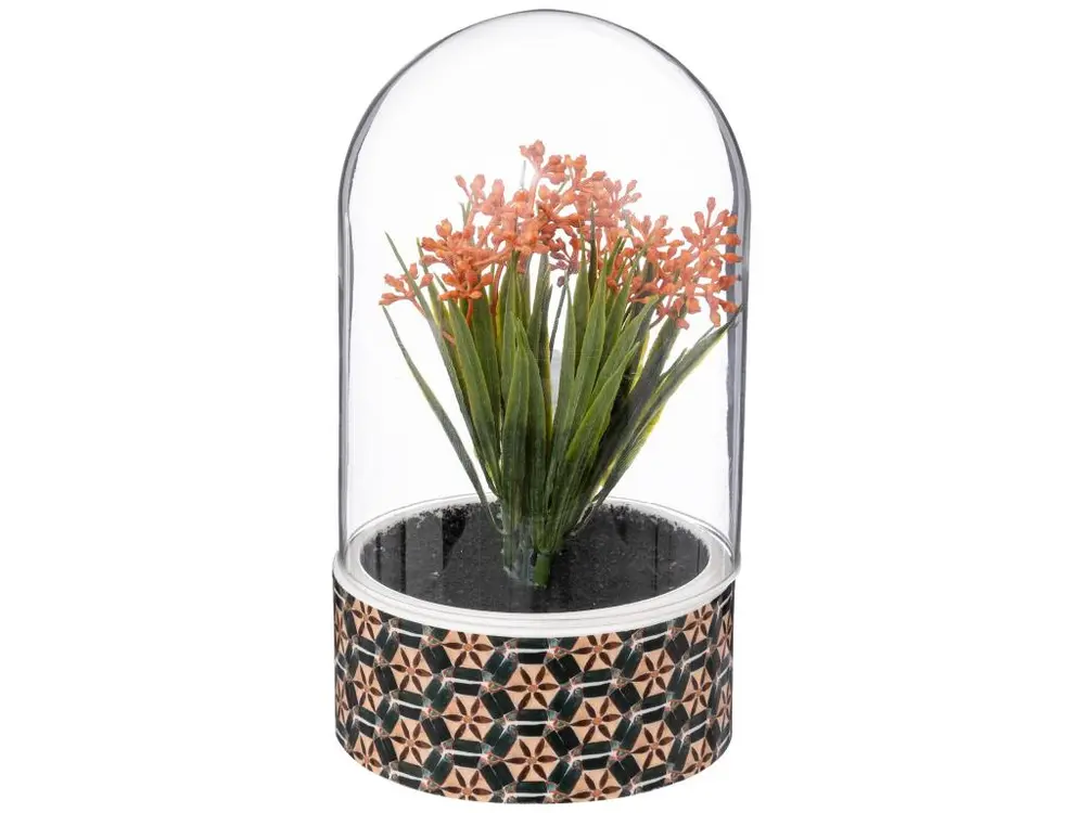 Atmosphera plante ali cloche h21cm